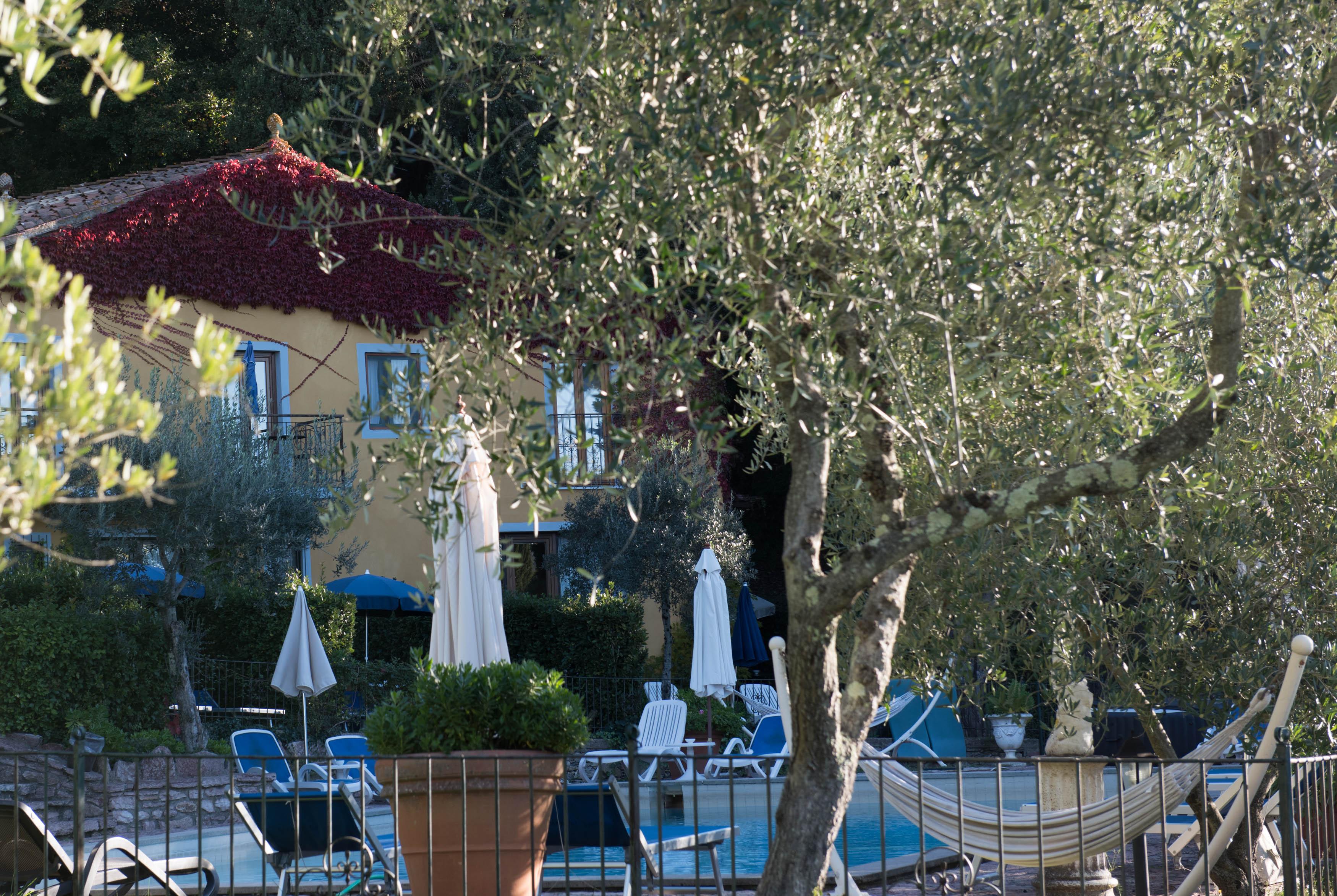 Tenuta La Bandita Sassetta Εξωτερικό φωτογραφία