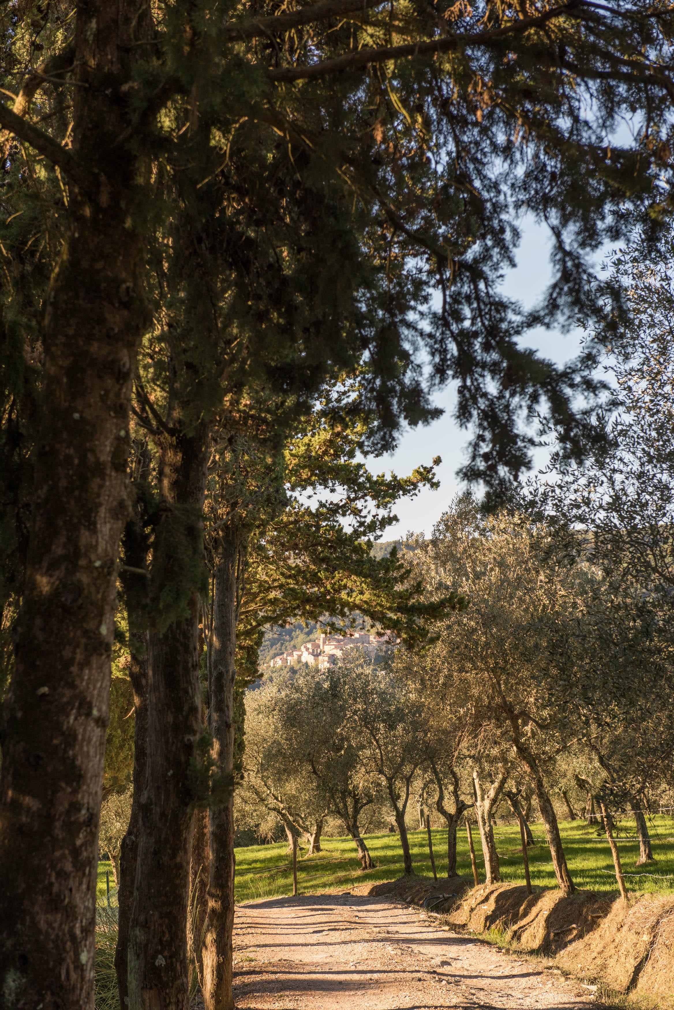 Tenuta La Bandita Sassetta Εξωτερικό φωτογραφία