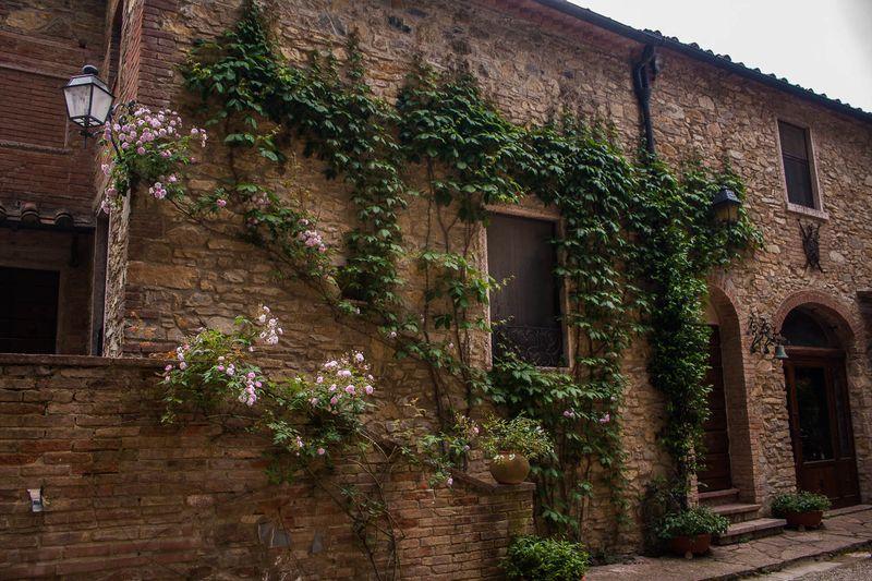 Tenuta La Bandita Sassetta Εξωτερικό φωτογραφία